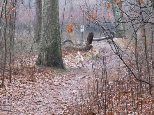 Heading to the river