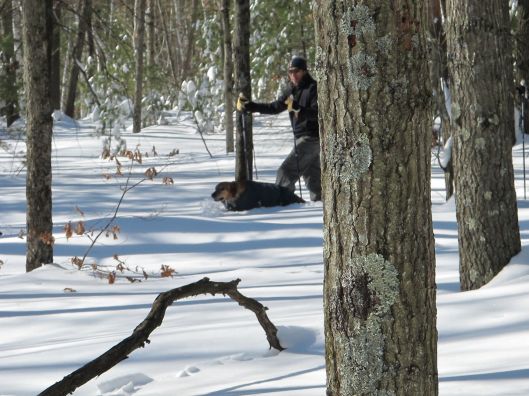 Friends appear through the trees!