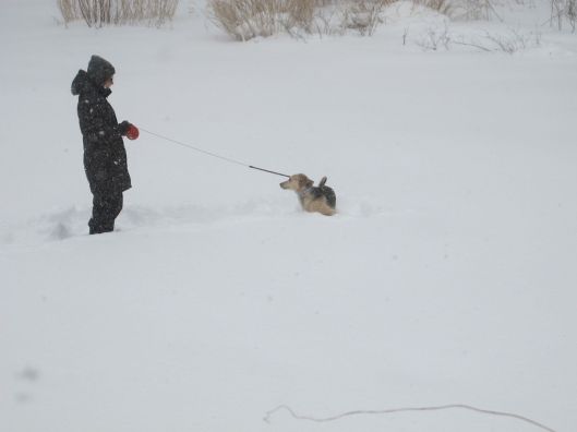 You want me to do what?