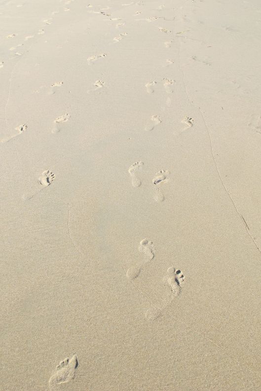 Footprints ©Judith A. Ross