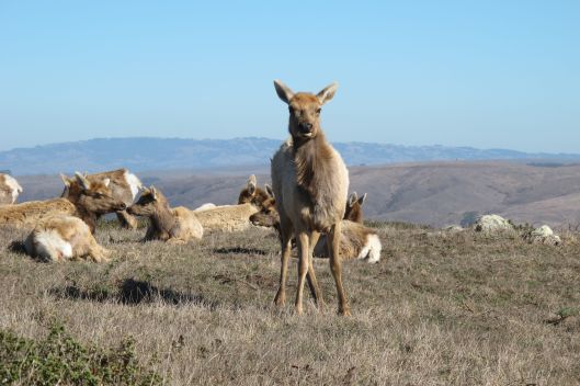 Mama's got her eye on you