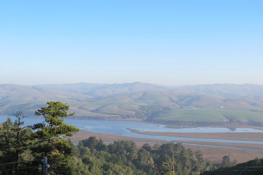 Tomales Bay